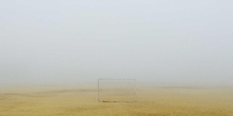 【2024年权威指南】网上购买乳猪的可靠平台与店铺推荐:从源头到餐桌的安心之选