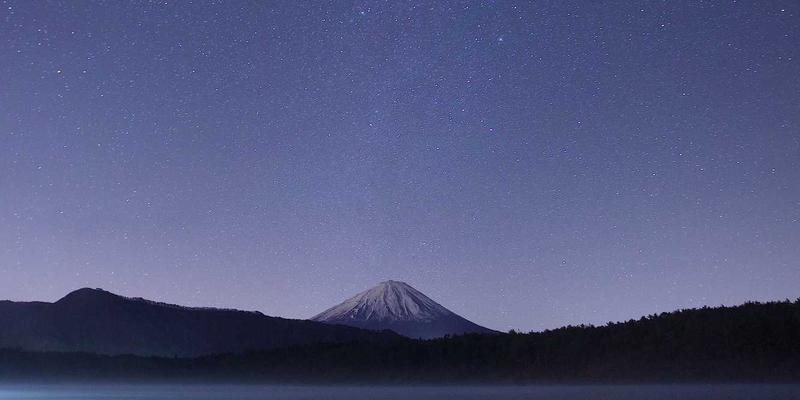 乳猪胴体等级标准全解析：掌握这几点，让您的批发采购与农产品交易更专业