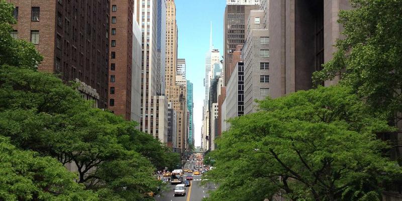 乳猪规格全解析：从养殖天数到餐桌美味，烤、炖、卤的最佳体重选择指南