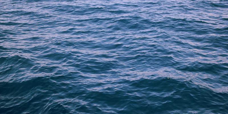 乳猪购买后黄金24小时：从生鲜猪肉到餐桌美味的专业处理与保存全攻略