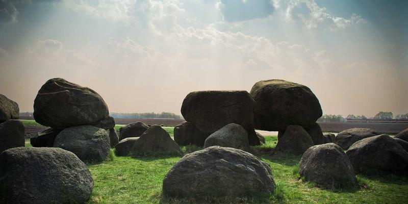 乳猪采购价格指数深度解析：掌握产区波动规律，优化长期协议定价策略