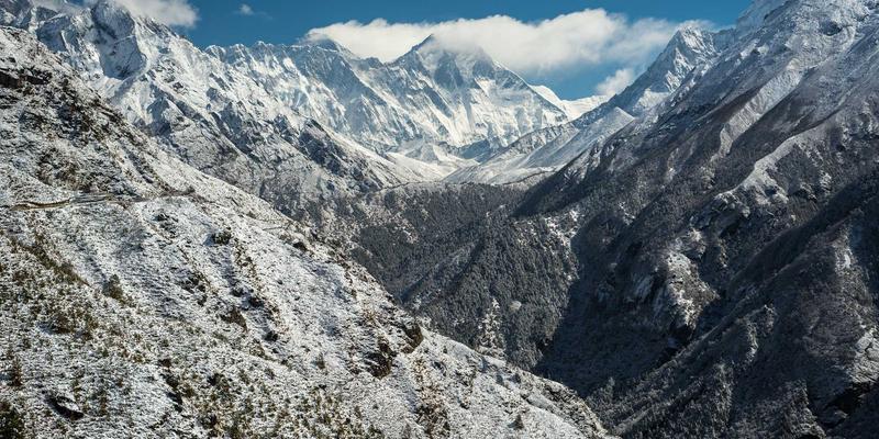 乳猪采购资金安全与支付方式优化：信用证、供应链金融与现货结算风险解析