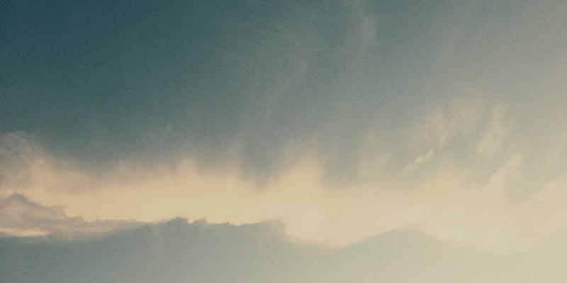 乳猪采购验收黄金法则：感官、检疫、重量三维度现场检查实操手册