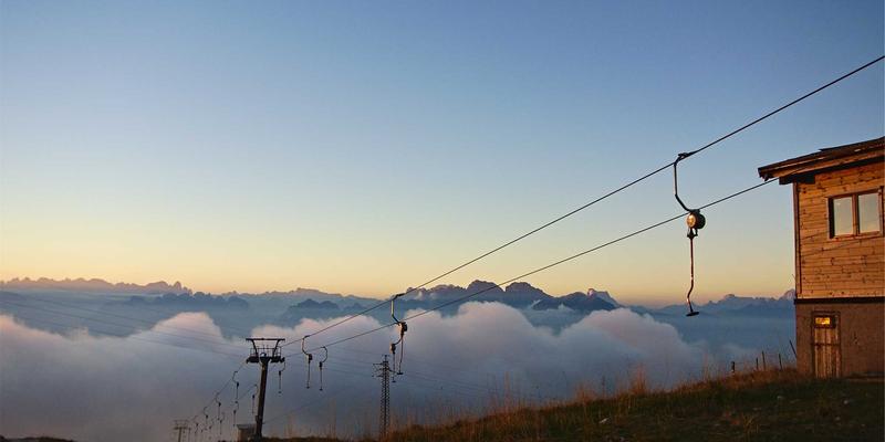 从“养了再卖”到“定了再养”：乳猪预定制如何重塑食品供应链新生态？