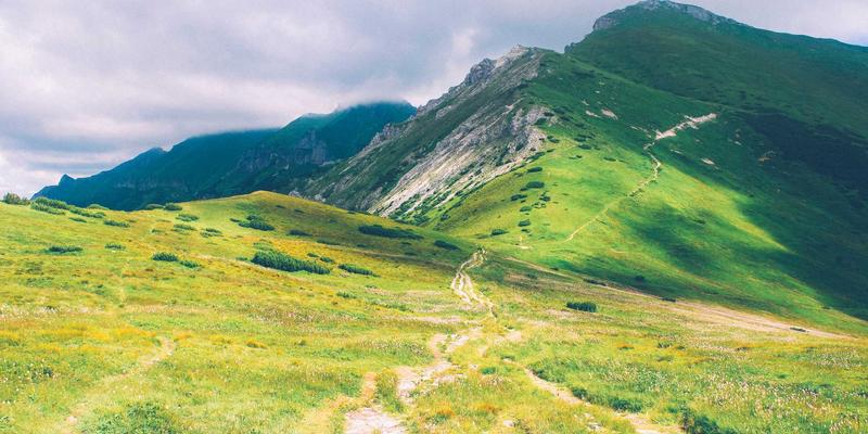 从农场到盛宴:高端酒店如何筛选顶级乳猪供应商的三大黄金法则