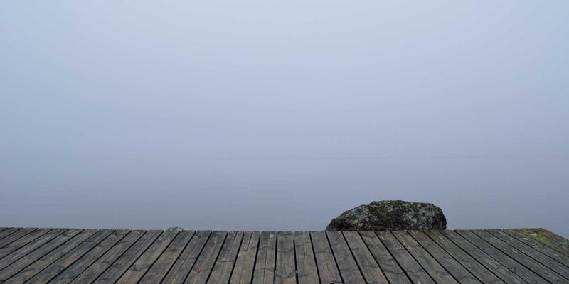 从源头到餐桌:揭秘养殖乳猪交易与金牌烤乳猪的完美腌制配方