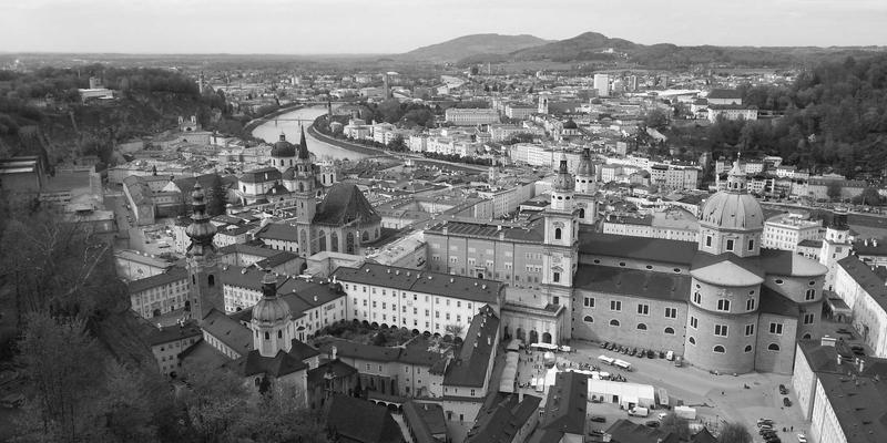 批发乳猪采购指南：从农产品交易市场挑选新鲜健康乳猪的五大秘诀