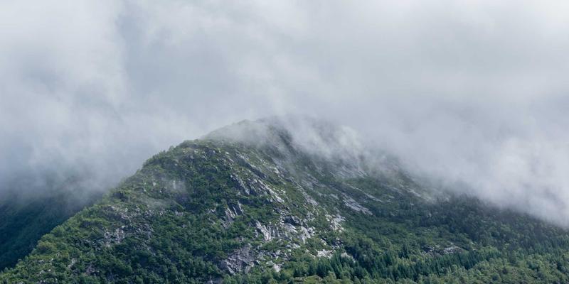 香猪、巴马香猪…乳猪交易门道多！批发采购必看的品种区别与避坑指南